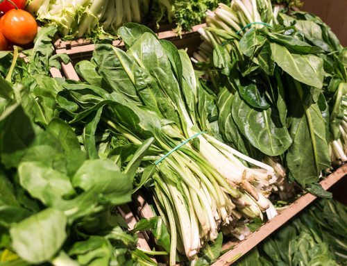 Sustainable consumption in Europe and the Netherlands
