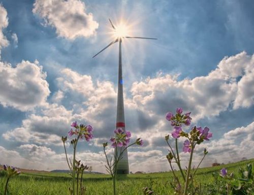 Idea #28 | The Secret to Living Sustainably in the Next Stage of Your Life
